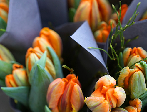kudella Floristik frischegarantie - Tulpen